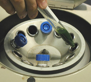 penyeimbangan sampel untuk centrifuge