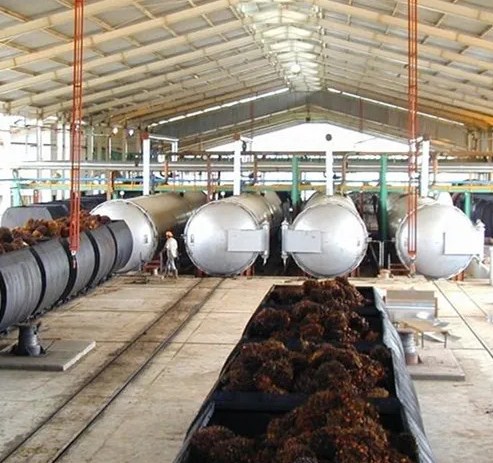 fungsi boiler pada pengolahan kelapa sawit