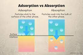 absorpsi dan adsorpsi