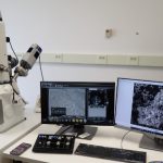 Apa Kegunaan dari Mikroskop Elektron dalam Penelitian?