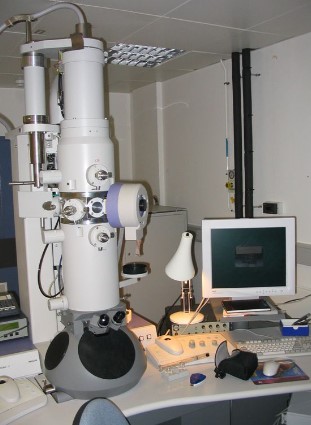 Kontribusi Mikroskop Elektron dalam Penemuan Ilmiah