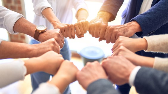 Apa yang Dimaksud Dengan Budaya Organisasi dan Strategi Membangunnya Untuk Keberhasilan Perusahaan