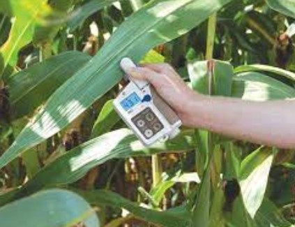 Penerapan Klorofil Meter untuk Pemantauan Pertanian