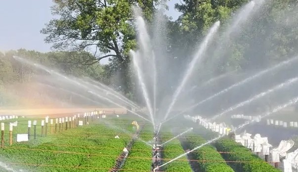 Cara Kerja Sprinkler